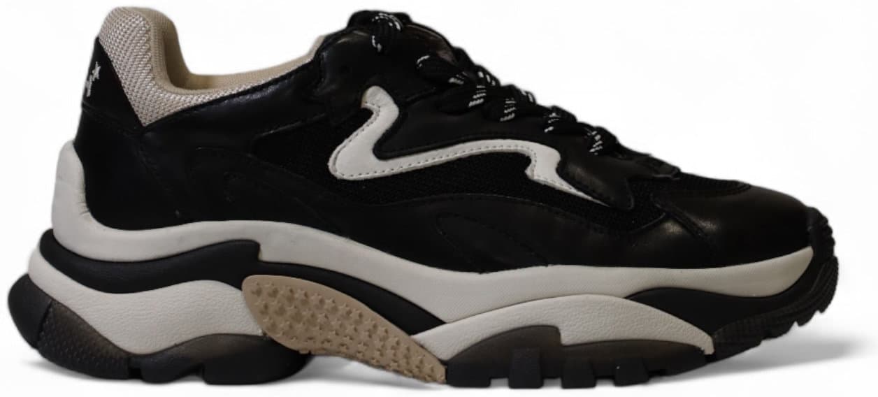 Ash  Women Sneakers
