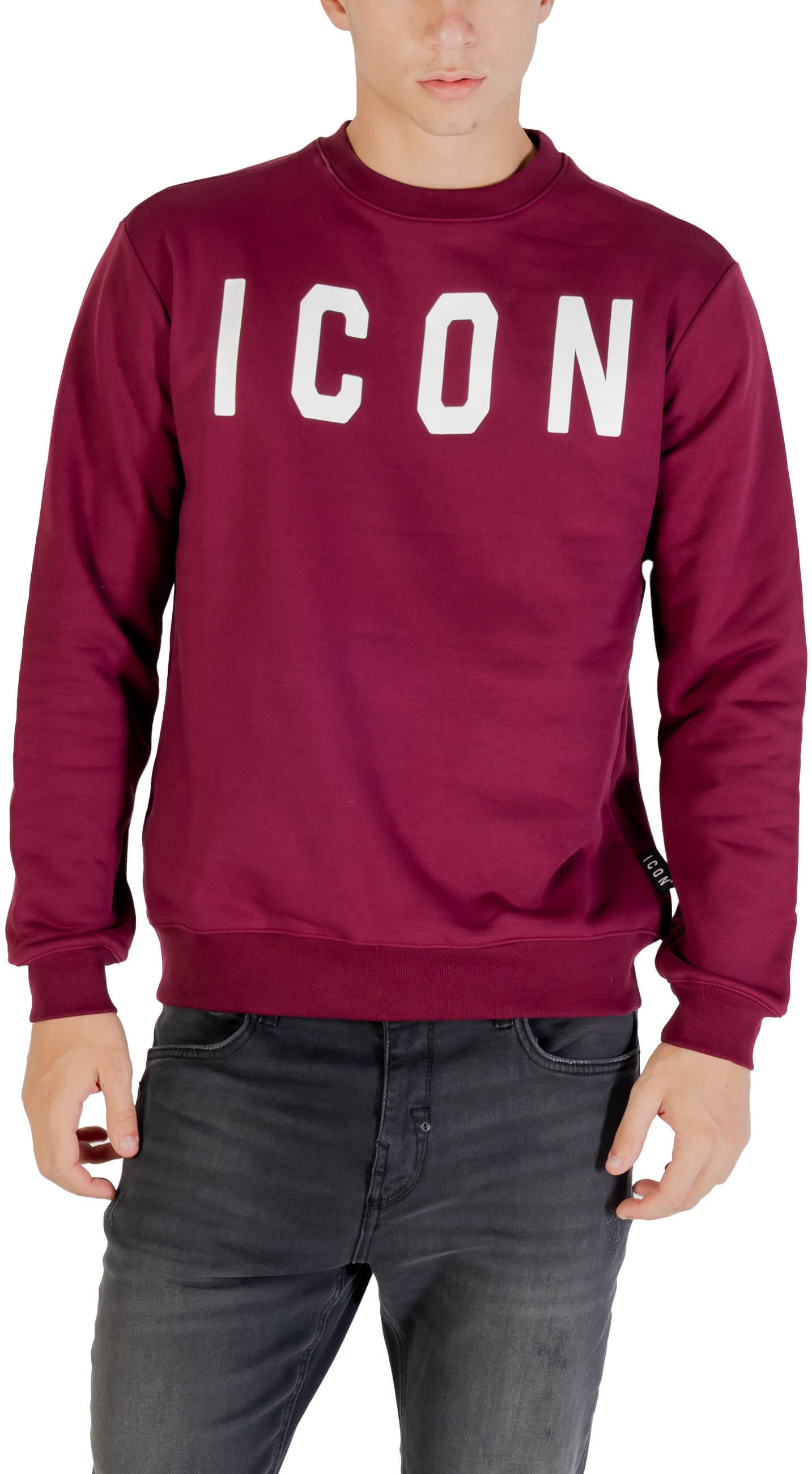 Icon Men Sweatshirts