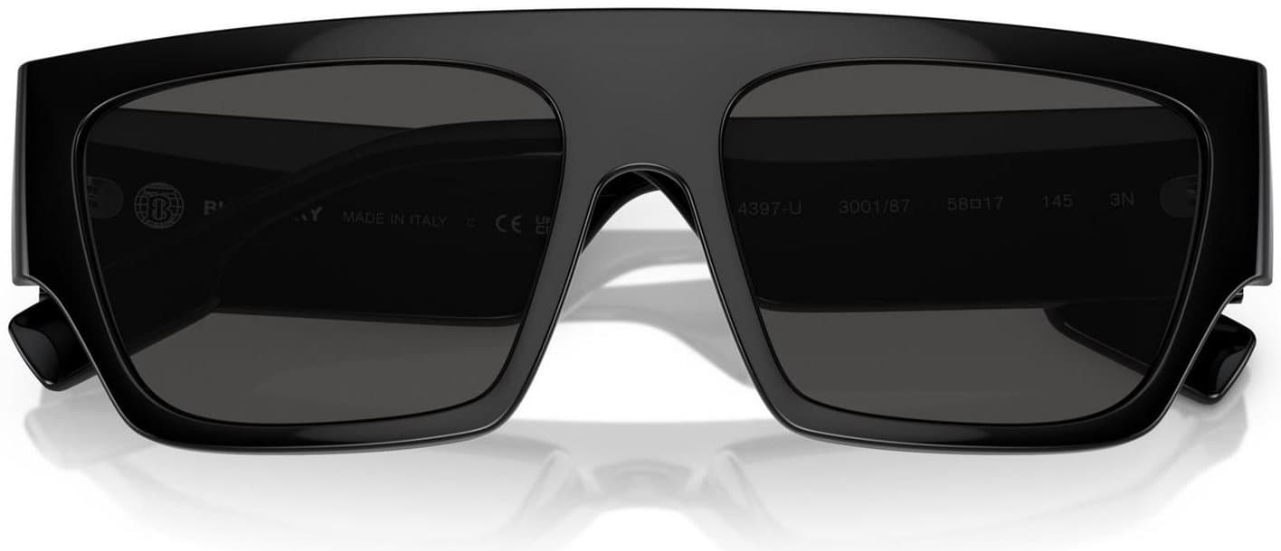 Burberry Men Sunglasses